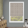 Raven Silver Roman Blinds