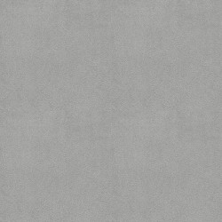 Irwin Silver Curtain